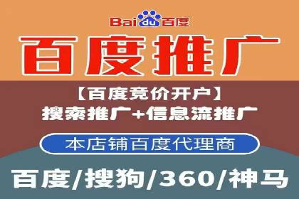 SEM竞价代运营：案例展示精准营销效果